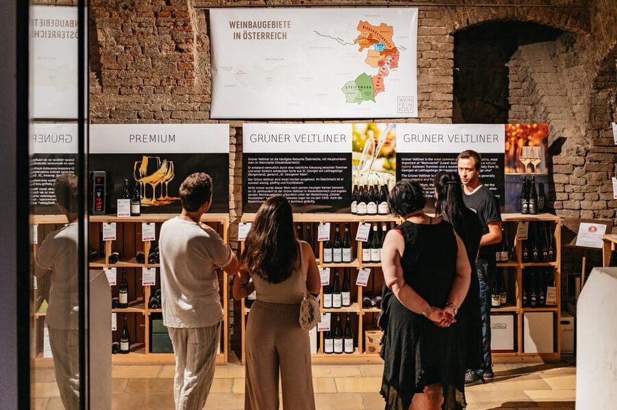 Vienna: Wine Tasting Experience in a Private Wine Cellar - Is $22 good value?