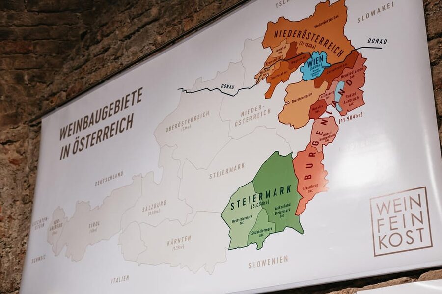 Vienna: Wine Tasting Experience in a Private Wine Cellar - Why the food pairing matters