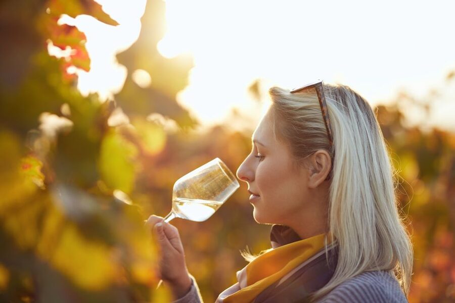 Vienna: Winery and Wine Tasting Tour with a Wine Expert - Why Vienna is a wine city, not just a wine stop