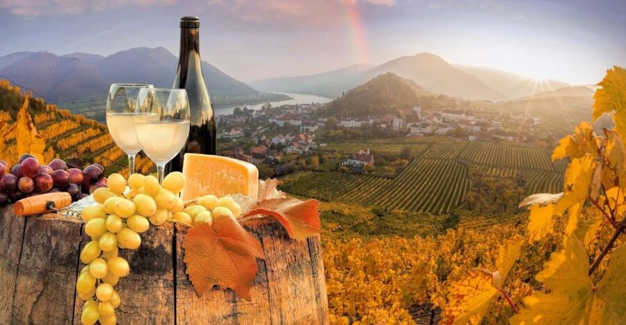 Vienna: Winery and Wine Tasting Tour with a Wine Expert - The three-hour route: wine with Rathaus and Hofburg sights