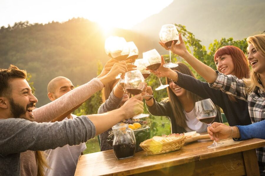 Vienna: Winery and Wine Tasting Tour with a Wine Expert - Practical details before you book