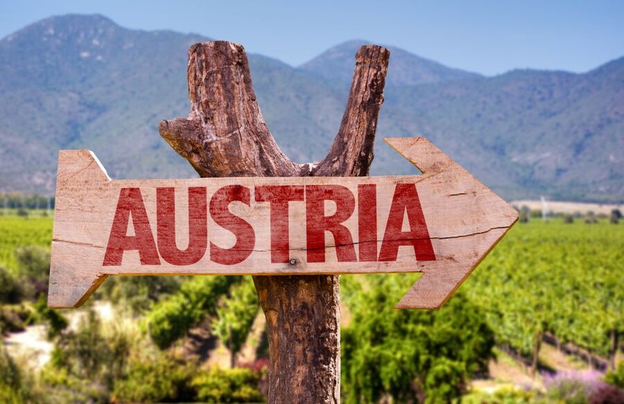 Vienna: Winery and Wine Tasting Tour with a Wine Expert - Should you book the Vienna wine tasting?