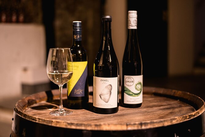 Viennese Wine Tasting in a Private Hidden Wine Cellar - Key points at a glance
