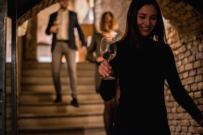 Viennese Wine Tasting in a Private Hidden Wine Cellar - Three wines, explained without wine-school fuss