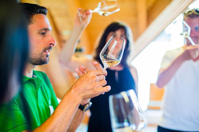 Wachau Valley Private Tour With Melk Abbey Visit and Wine Tastings from Vienna - The Danube cruise from Spitz to Melk