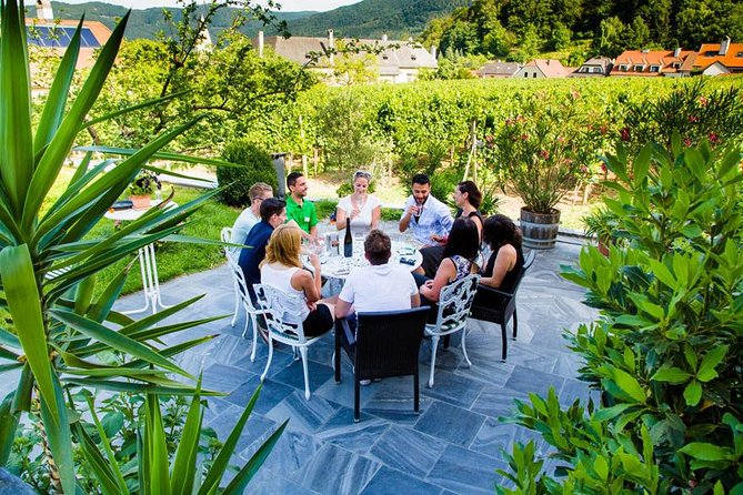 Wachau Valley Small-Group Tour and Wine Tasting from Vienna - Dürnstein: medieval streets and castle ruins