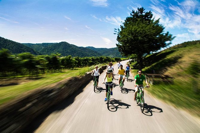 Wachau Valley Wine Tasting Bike Tour from Vienna - What the $163.26 price includes