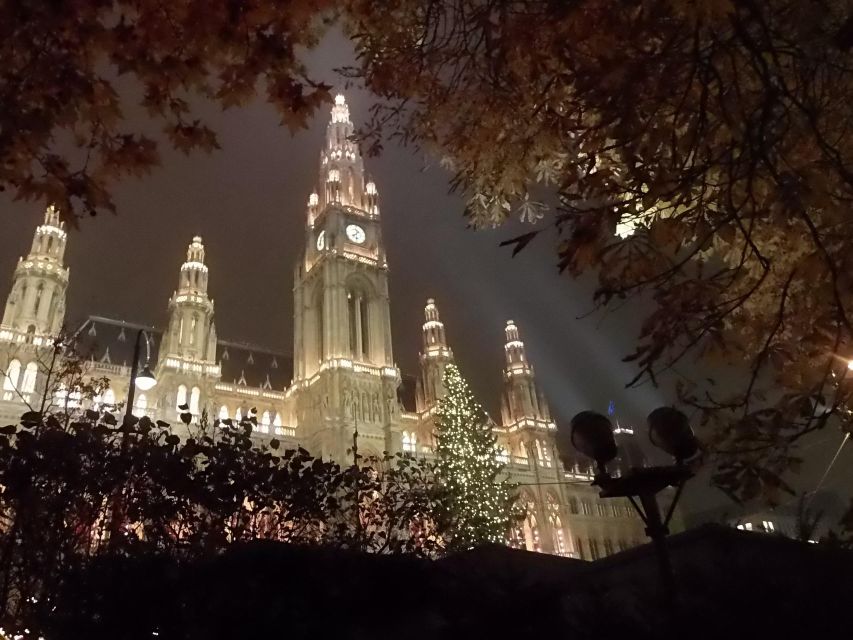 Wien: Tour with locals on the trails of the Christmas Tree - Key points to know before you book