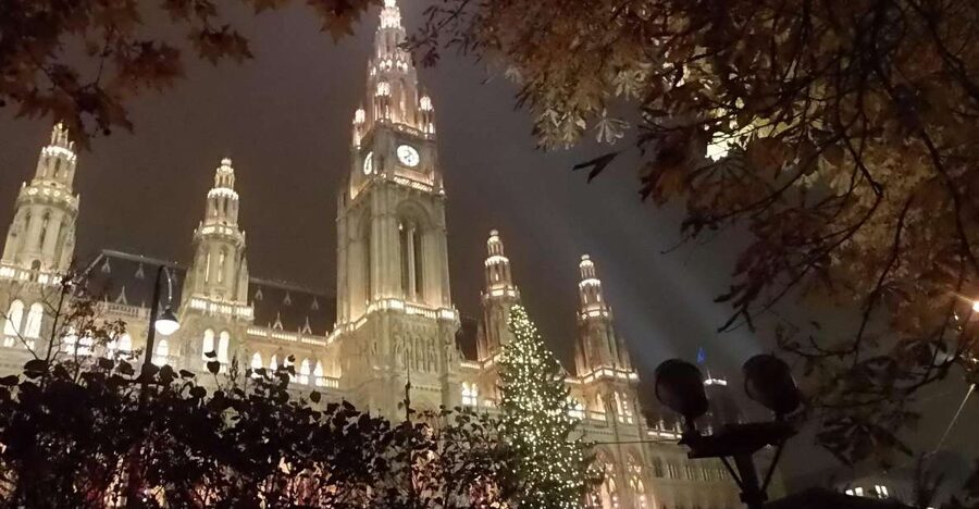 Wien: Tour with locals on the trails of the Christmas Tree - Why Vienna’s Christmas tree story is worth two hours