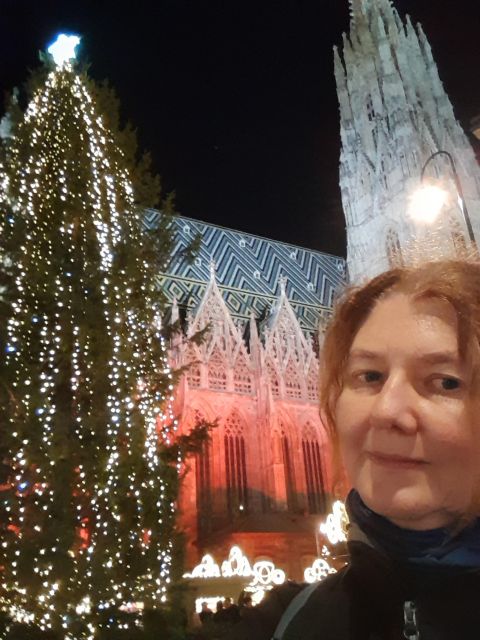 Wien: Tour with locals on the trails of the Christmas Tree - The Albertina stop and Vienna’s grand architecture