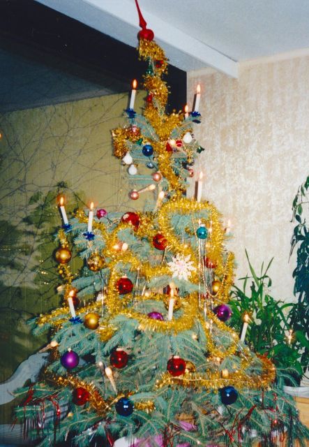 Wien: Tour with locals on the trails of the Christmas Tree - Who will enjoy this Christmas walk?