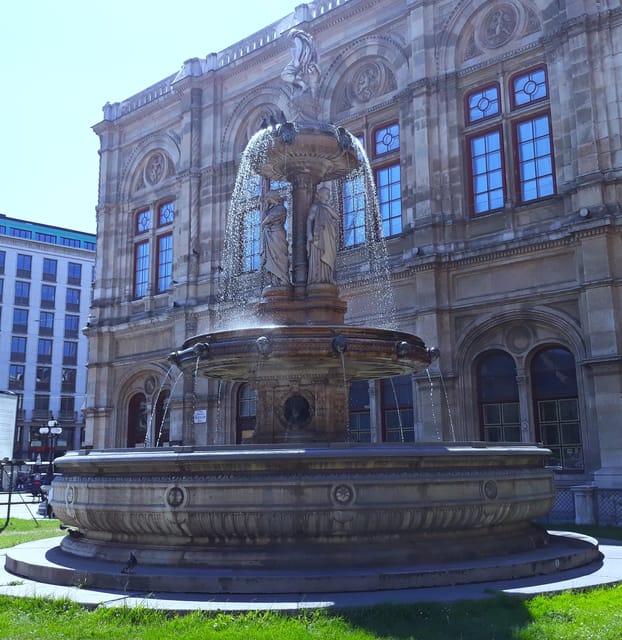 Wien: Tours with locals by public transport & walking - Language and tour conditions