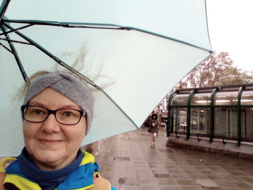 Wien: Tours with locals by public transport & walking - Schönbrunn and the Otto Wagner connection