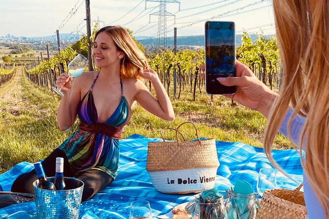 Wine Picknick overlocking vienna - From Judengasse 4 to the Vienna vineyards