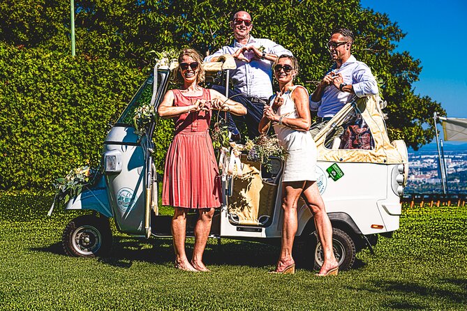 Wine Picknick overlocking vienna - Timing your two hours in Vienna