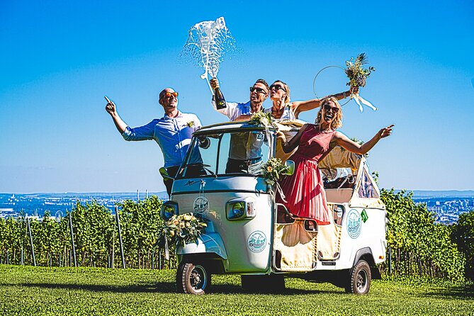Wine Picknick overlocking vienna - Who will enjoy this most